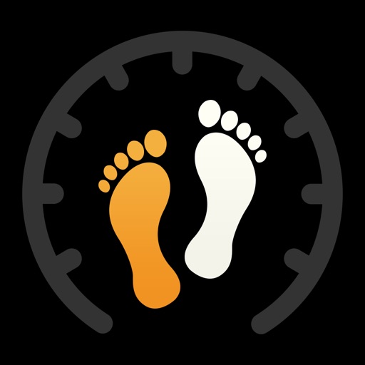 Pedometer Plus-Count Moving Steps icon