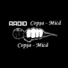 Radio Copsa Mica
