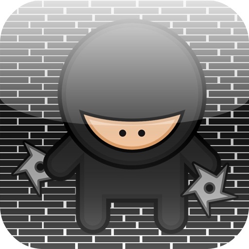 Ninja KungFu iOS App
