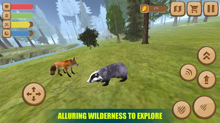 Badger Simulator 3D