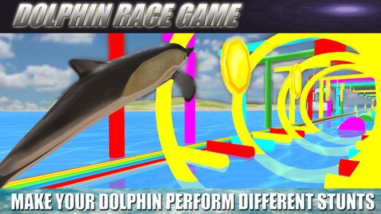 Dolphin Race Game