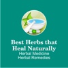 Best Herbs that Heal Naturally - Herbal Medicine Herbal Remedies