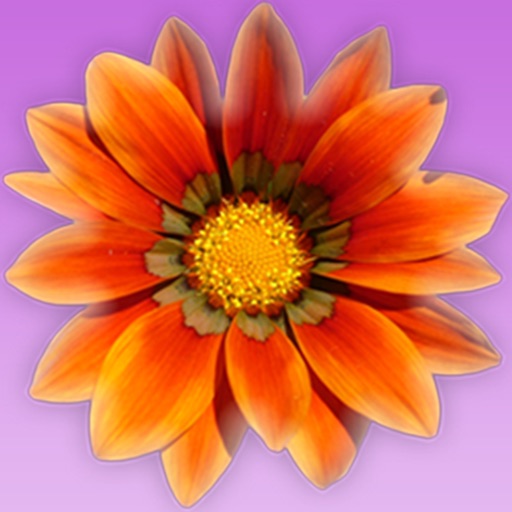 FlowersForU iOS App