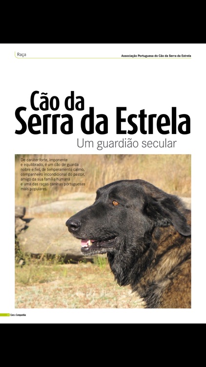 Cães & Companhia revista screenshot-3