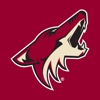 Arizona Coyotes