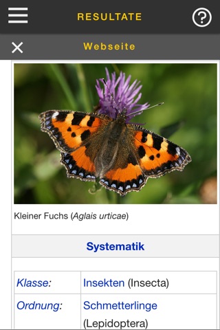 sCHmetterling screenshot 4