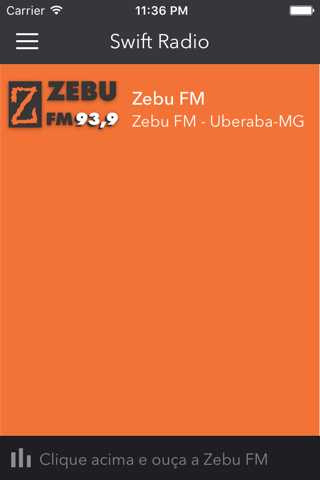 ZEBU FM screenshot 2