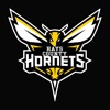 Hays County Hornets