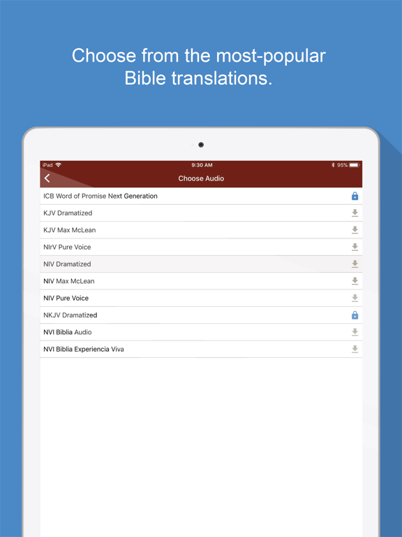 Bible Audio screenshot 8