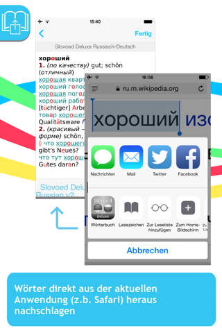 German<->Russian Slovoed Deluxe Talking Dictionary screenshot 3