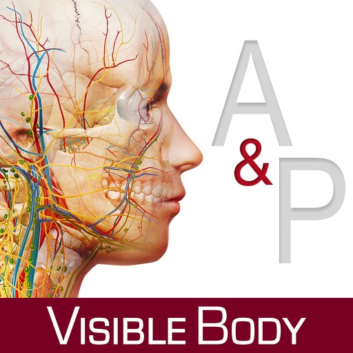 Anatomy & Physiology: Body Structures and Function