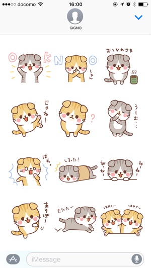 Fluffy Scottish Fold(圖4)-速報App