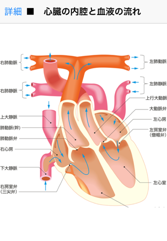 法研 六訂版 家庭医学大全科 screenshot 3