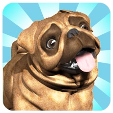 Activities of Busty World