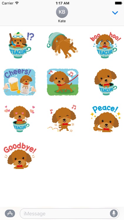 Cute Teacup Poodle Dog Sticker