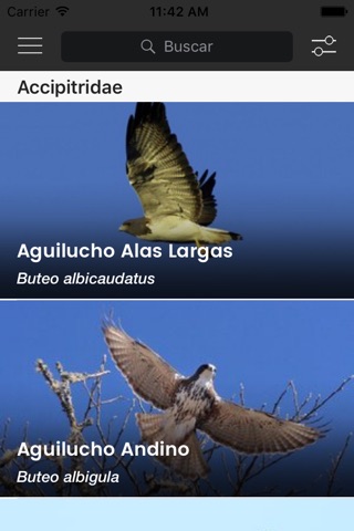 Aves de Argentina y Uruguay screenshot 2