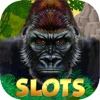 Gorilla Slot Machines – Free Wild Jackpot Lottery