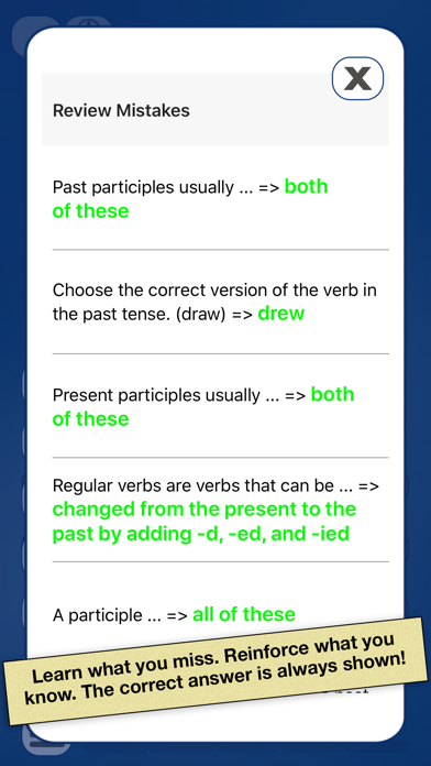 English Grammar Essentials screenshot 4