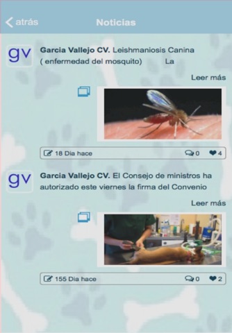 Garcia Vallejo CV screenshot 2