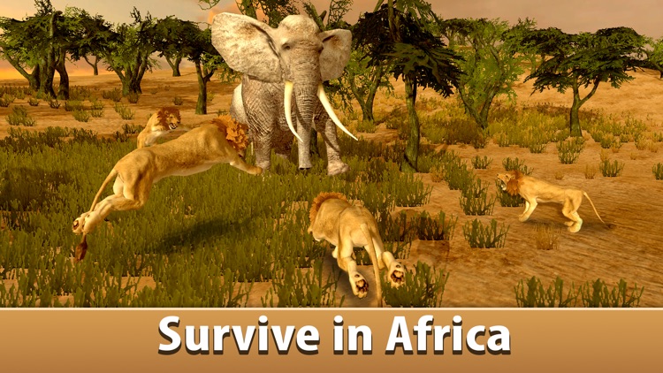 Big Elephant Simulator: Wild African Animal 3D Full by Andrew Kudrin