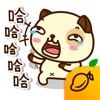 熊貓狗 (中文/繁体) - Mango Sticker