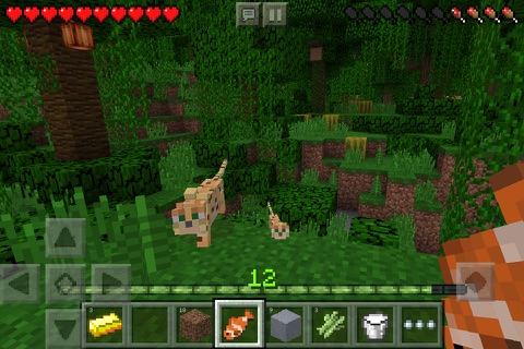 Apps for ios and android - minecraft: pocket Edition price : 9.99