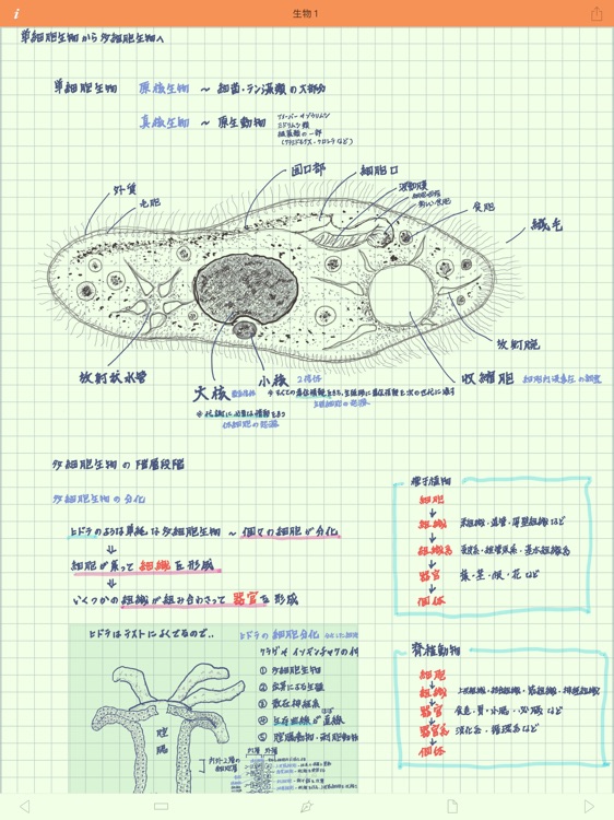 ThinkWriter2