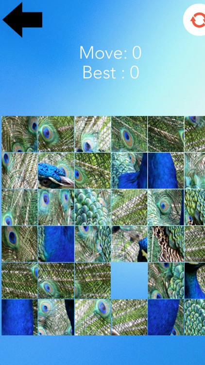 My Picture Puzzles screenshot-4