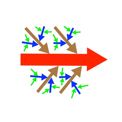 Ishikawa Diagram