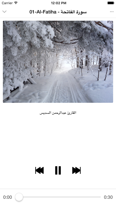 How to cancel & delete Al Sudais- عبد الرحمن السديس -Quran mp3 from iphone & ipad 3