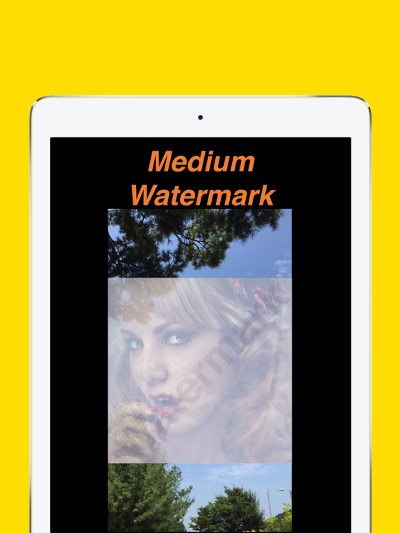 Watermark Camera Lite - Take photos with beauty images screenshot 3