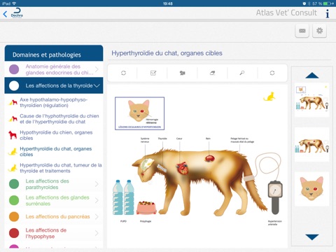 Vet'Consult Endocrinologie screenshot 2