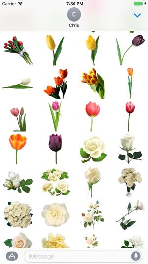 Flowers StickersPack(圖3)-速報App