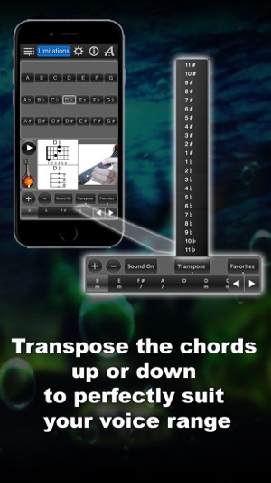 Mandolin Chords Lite(圖3)-速報App