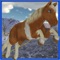 Snow Hill Pony Horse Simulator 3D
