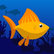 Activities of Fish Rush - Endless Fish Jump Game