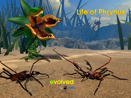 Скачать Life of Phrynus - Whip Spider