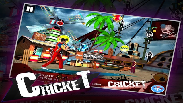 Cricket 3D : Street Challenge(圖5)-速報App