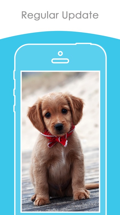 Cute Puppy Wallpapers | HD Backgrounds