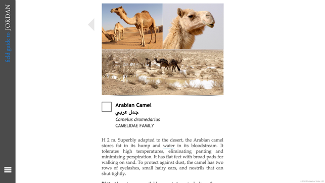 Field Guide to Jordan(圖4)-速報App