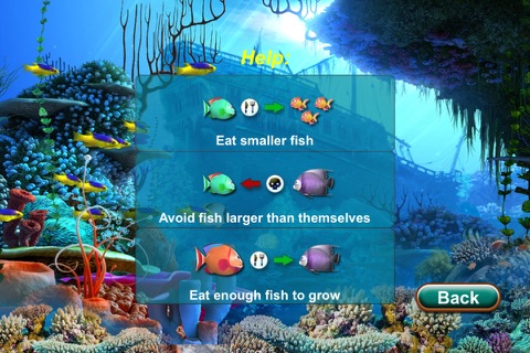 Eat Fish Saga screenshot 3