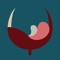 Forbes recommendation : "the app aims to match wines with occasions, foods, people, and moments"