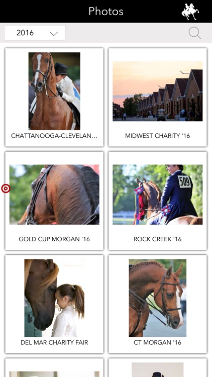 National Horseman screenshot-3