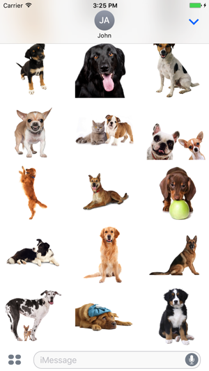 Best Dogs Stickers(圖2)-速報App