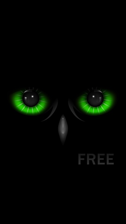 Night Eyes FREE - Low Light Camera screenshot-3