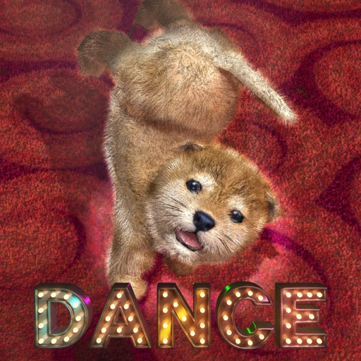 Animal Dance puppies iOS App