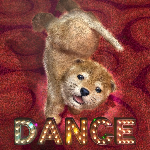 Animal Dance puppies Icon