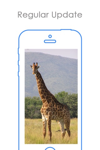 African Safari Wallpaper | Animal Backgrounds screenshot 3