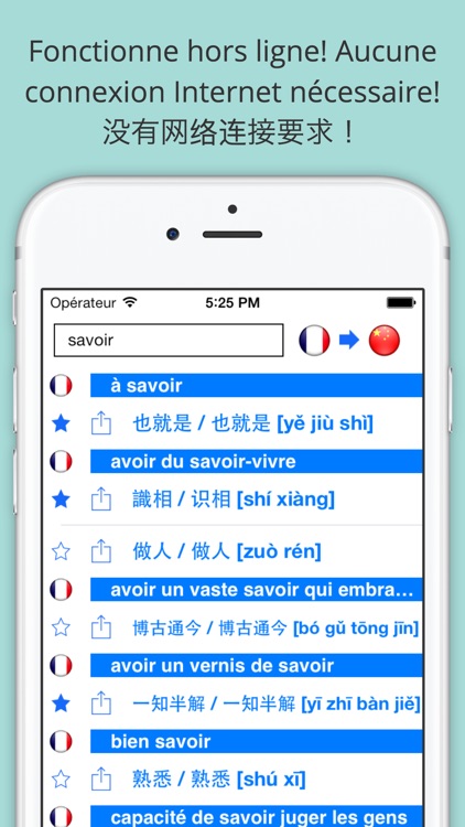 Offline French Chinese Dictionary with Voice