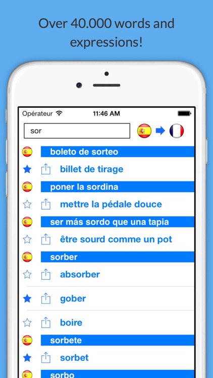 Offline French Spanish Dictionary with Voice